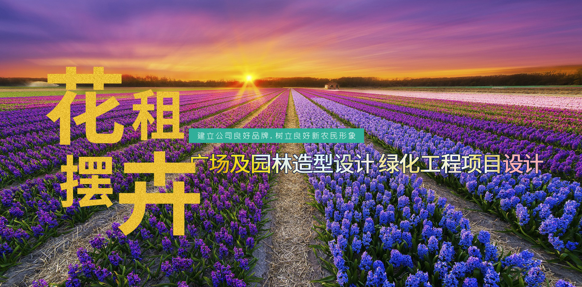 山東諾億農業發展有限公司